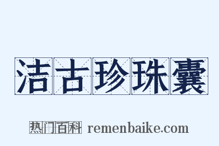 洁古珍珠囊是什么意思的图片